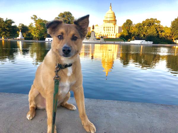 /Images/uploads/Humane Rescue Alliance/HRACalendarPhotoContest/entries/8553thumb.jpg